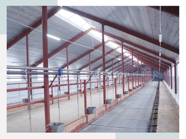 Строительство коровников в Тайшете от 623 руб.